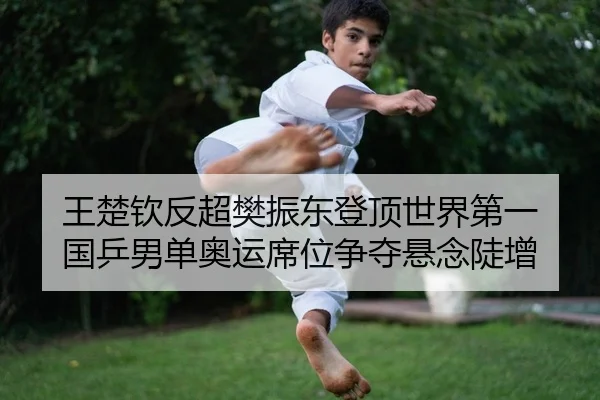 wang-chu-qin-fan-chao-fan-zhen-dong-deng-ding-shi-jie-di-yi-guo-ping-nan-dan-ao-yun-xi-wei-zheng-duo-xuan-nian-dou-zeng-2-336.jpg